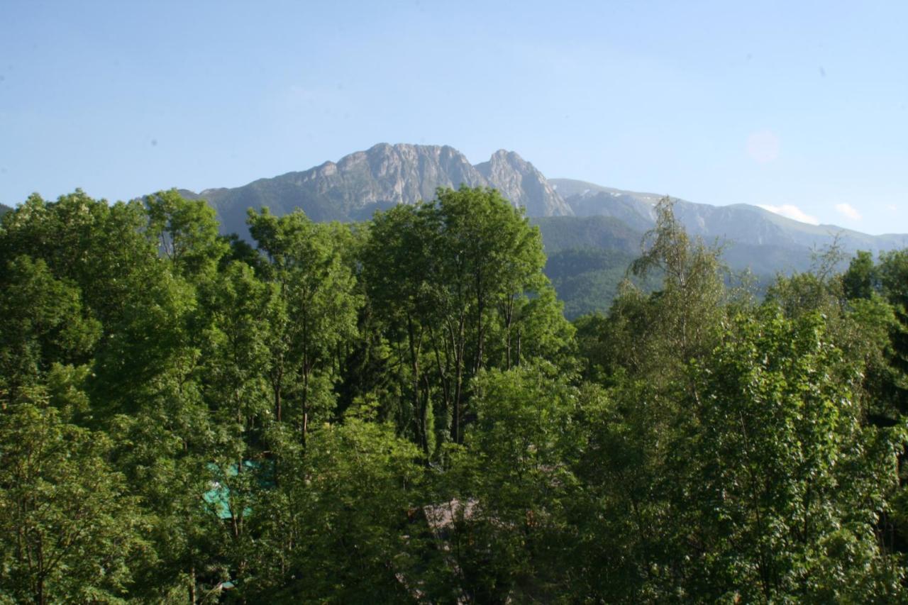Top *